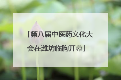 第八届中医药文化大会在潍坊临朐开幕