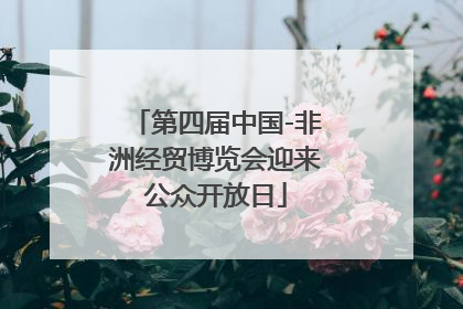 第四届中国-非洲经贸博览会迎来公众开放日
