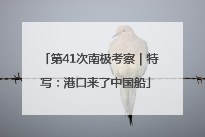 第41次南极考察｜特写：港口来了中国船