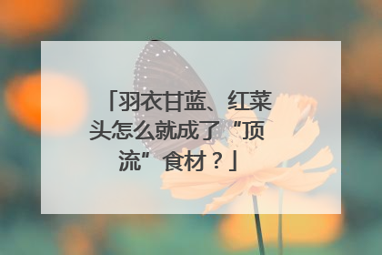 羽衣甘蓝、红菜头怎么就成了“顶流”食材？