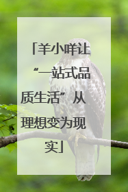 羊小咩让“一站式品质生活”从理想变为现实