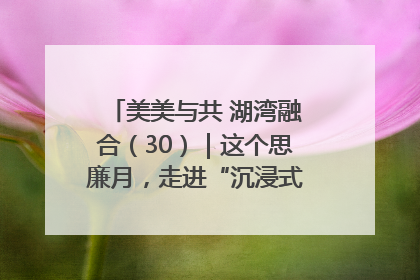 美美与共 湖湾融合（30）｜这个思廉月，走进“沉浸式”清风课堂
