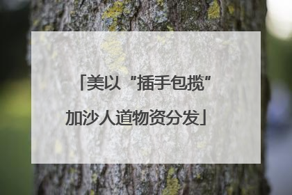 美以“插手包揽”加沙人道物资分发