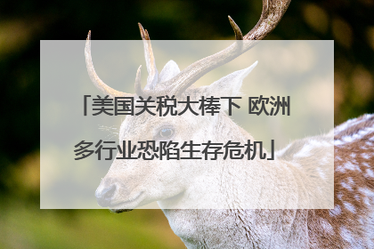 美国关税大棒下 欧洲多行业恐陷生存危机