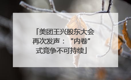美团王兴股东大会再次发声：“内卷”式竞争不可持续