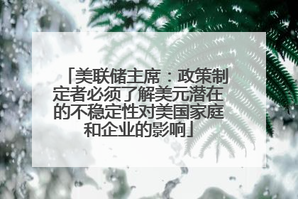 美联储主席：政策制定者必须了解美元潜在的不稳定性对美国家庭和企业的影响