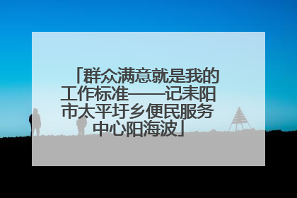 群众满意就是我的工作标准——记耒阳市太平圩乡便民服务中心阳海波