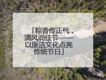 粽香传正气，清风润佳节——以廉洁文化点亮传统节日