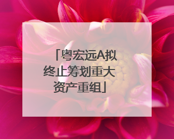 粤宏远A拟终止筹划重大资产重组