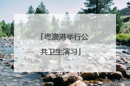 粤澳港举行公共卫生演习