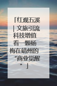 红观五溪｜文旅引流 科技增值 看一颗杨梅在靖州的“商业觉醒”