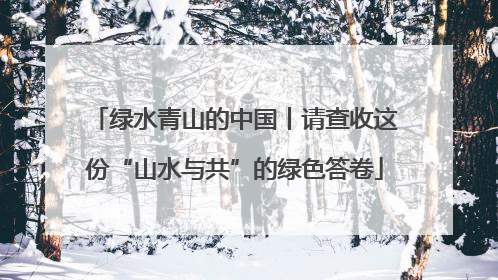 绿水青山的中国丨请查收这份“山水与共”的绿色答卷