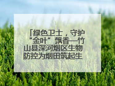 绿色卫士，守护“金叶”飘香—竹山县深河烟区生物防控为烟田筑起生态屏障