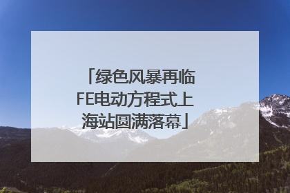 绿色风暴再临 FE电动方程式上海站圆满落幕