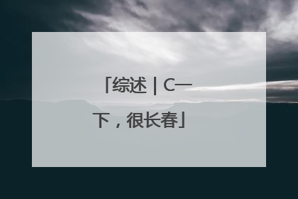 综述｜C一下，很长春