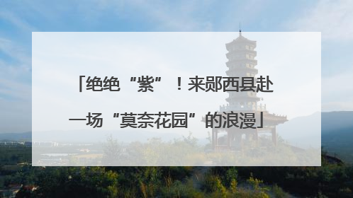 绝绝“紫”！来郧西县赴一场“莫奈花园”的浪漫