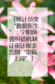 统计员变“数据医生”：宁阳前置纠错机制让审计报表告别“带病上岗”