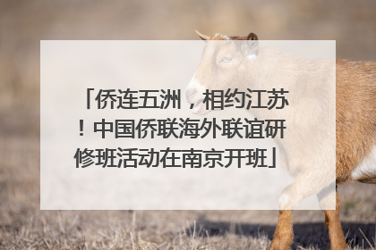侨连五洲，相约江苏！中国侨联海外联谊研修班活动在南京开班