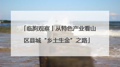 临朐观察丨从特色产业看山区县城“乡土生金”之路