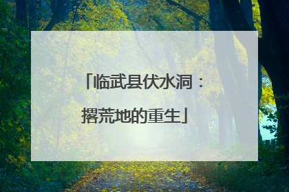 临武县伏水洞：撂荒地的重生