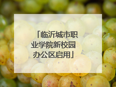 临沂城市职业学院新校园办公区启用