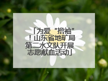 为爱“撸袖”！山东省地矿局第二水文队开展志愿献血活动