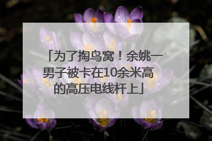 为了掏鸟窝！余姚一男子被卡在10余米高的高压电线杆上