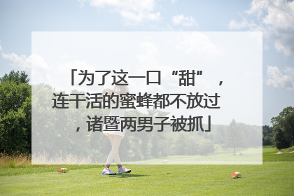 为了这一口“甜”，连干活的蜜蜂都不放过，诸暨两男子被抓