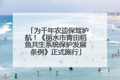 为千年农遗保驾护航！《丽水市青田稻鱼共生系统保护发展条例》正式施行