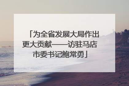 为全省发展大局作出更大贡献——访驻马店市委书记鲍常勇