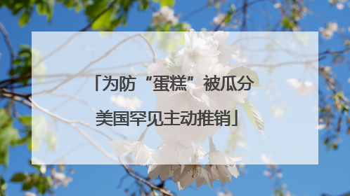 为防“蛋糕”被瓜分 美国罕见主动推销