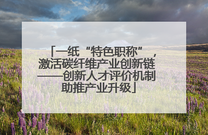 一纸“特色职称”，激活碳纤维产业创新链——创新人才评价机制 助推产业升级