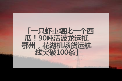 一只虾重堪比一个西瓜！90吨活波龙运抵鄂州，花湖机场货运航线突破100条