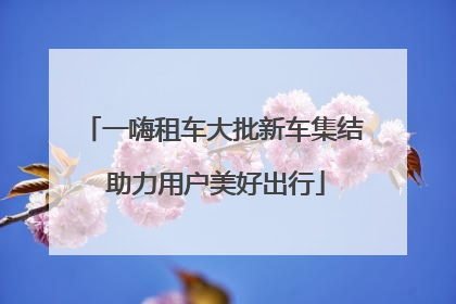一嗨租车大批新车集结 助力用户美好出行