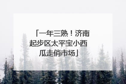 一年三熟！济南起步区太平宝小西瓜走俏市场