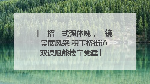 一招一式强体魄，一镜一景展风采 积玉桥街道双课赋能楼宇党建