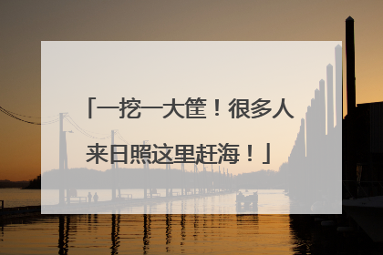 一挖一大筐！很多人来日照这里赶海！