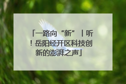 一路向“新”丨听！岳阳经开区科技创新的澎湃之声