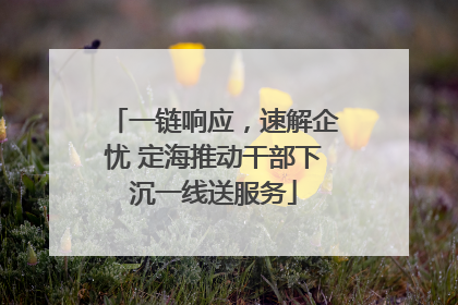 一链响应，速解企忧 定海推动干部下沉一线送服务