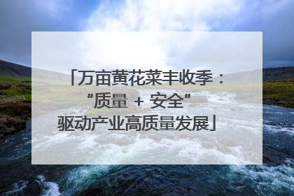 万亩黄花菜丰收季：“质量 + 安全” 驱动产业高质量发展