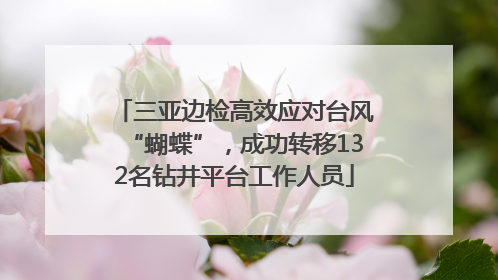 三亚边检高效应对台风“蝴蝶”，成功转移132名钻井平台工作人员