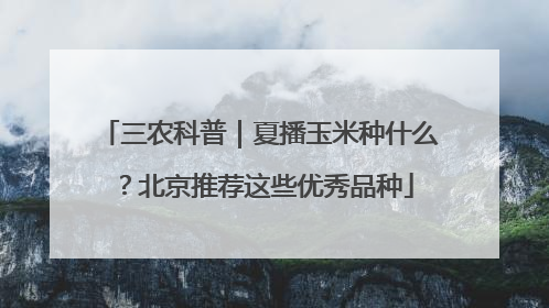 三农科普｜夏播玉米种什么？北京推荐这些优秀品种