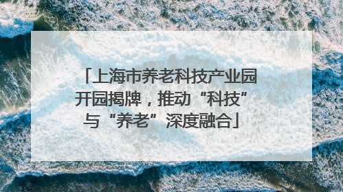 上海市养老科技产业园开园揭牌，推动“科技”与“养老”深度融合