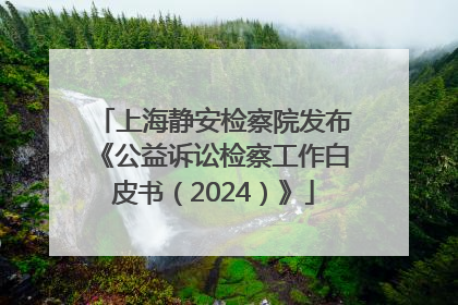 上海静安检察院发布《公益诉讼检察工作白皮书（2024）》