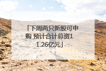 下周两只新股可申购 预计合计募资11.26亿元