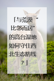 与荒漠“比邻而居”的高台湿地如何守住西北生态防线？