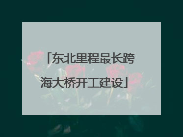 东北里程最长跨海大桥开工建设