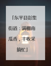 东平县彭集街道：满棚南瓜香，丰收采摘忙