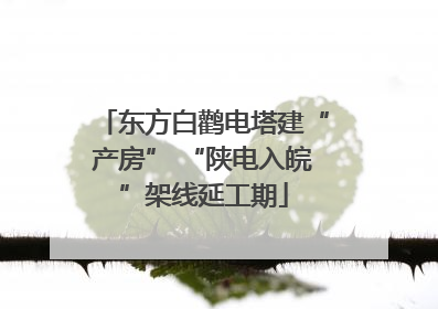 东方白鹳电塔建“产房” “陕电入皖”架线延工期