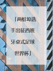 两蚌埠选手出征西班牙桌式足球世界杯